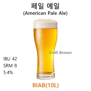 페일에일(American Pale Ale)-(BIAB-10L)